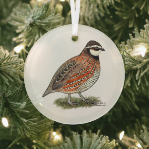Ornement En Verre Rooster Bobwhite Quail