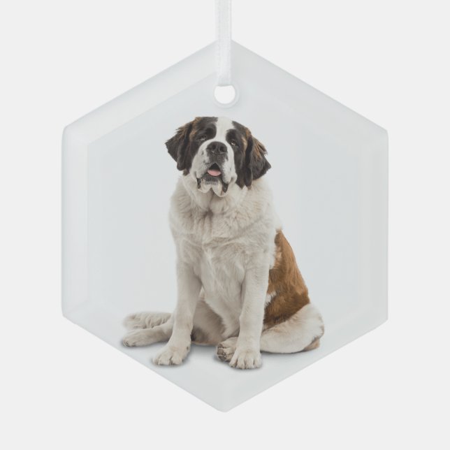 Ornement En Verre Saint Bernard Chien Animaux de compagnie (Recto)