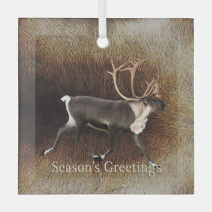 Ornement En Verre Salutation de saison - Bull Caribou (Reindeer)