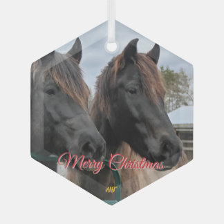 Ornement En Verre Secourt Cheval AHT