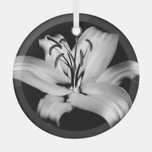 Ornement En Verre Silver Lily : Élégance Florale Monochrome.