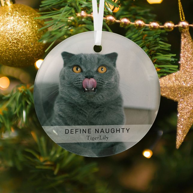 Ornement En Verre Simple Funny 'Define Naughty' Garde photo pour ani (Créateur téléchargé)