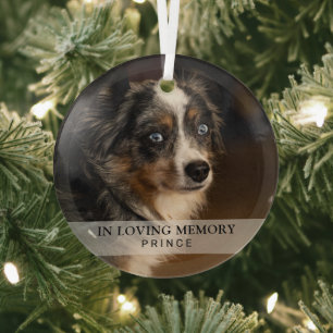 Ornement En Verre Simple Souvenir Photo Chien Animaux de Compagnie D