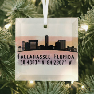 Ornement en verre Tallahassee FL City Skyline