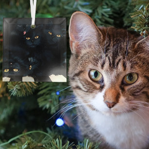 Ornement En Verre Tas de caresses de chat noir félins mignons