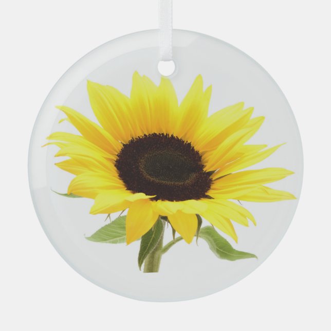 Ornement En Verre Tournesol (Recto)