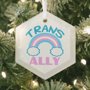 Ornement En Verre Transgenre Ally Trans Rainbow Joli Noël