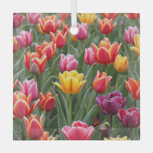 Ornement En Verre Tulipes néerlandaises