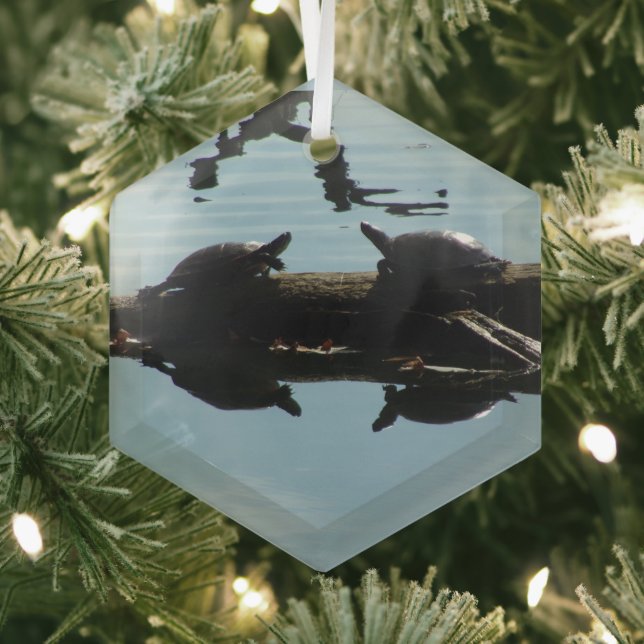 Ornement En Verre Turtle Interaction Ornament (Insitu)
