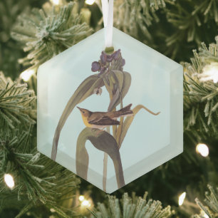 Ornement En Verre Vireo Songbird d'Audubon