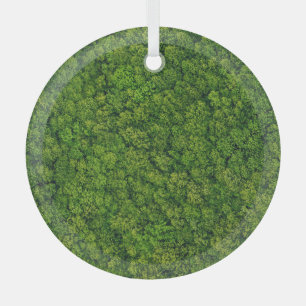 Ornement En Verre Vue aérienne sur la forêt, vue supérieure, espace 