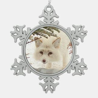 Ornement encadré flocon de neige Coconut Wild Paws