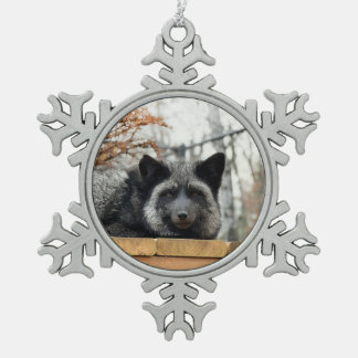Ornement encadré flocon de neige Wild Paws Aurora