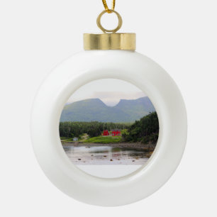 Ornement encadré par flocon de neige