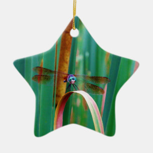 Ornement Étoile En Céramique A teal Eyed Dragonfly with cattails