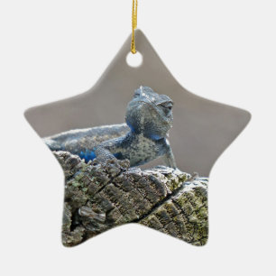 Ornement Étoile En Céramique Alligator du ventre bleu Lizard