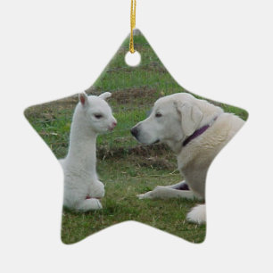 Ornement Étoile En Céramique Anatolian Shepherd and Alpaca Cria