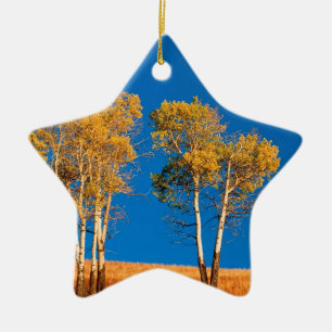 Ornement Étoile En Céramique Automne Aspen Yellowstone Wyoming d'arbres