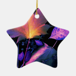 Ornement Étoile En Céramique Autumn Leaves