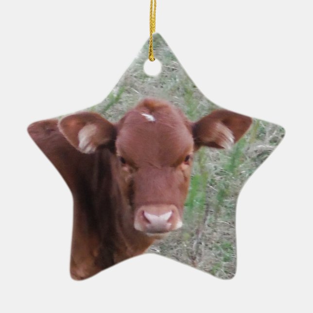 Ornement Étoile En Céramique Bébé Brown Vache visage (Devant)