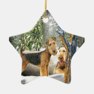 Ornement Étoile En Céramique Cadeaux de la Journée d'hiver d'Airedale Terrier