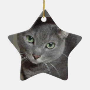 Ornement Étoile En Céramique Chat bleu russe