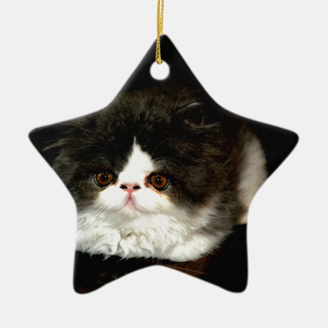 Ornement Étoile En Céramique Chat chaton blanc noir mignon (Devant)