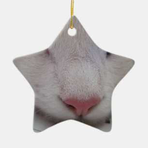 Ornement Étoile En Céramique Chat couché