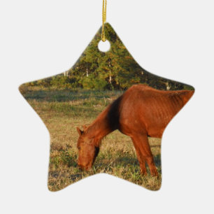 Ornement Étoile En Céramique Cheval Brown aux pins