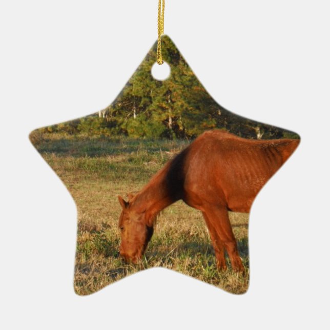 Ornement Étoile En Céramique Cheval Brown aux pins (Devant)