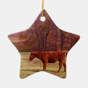 Ornement Étoile En Céramique Cheval Brown dans un champ d'herbe