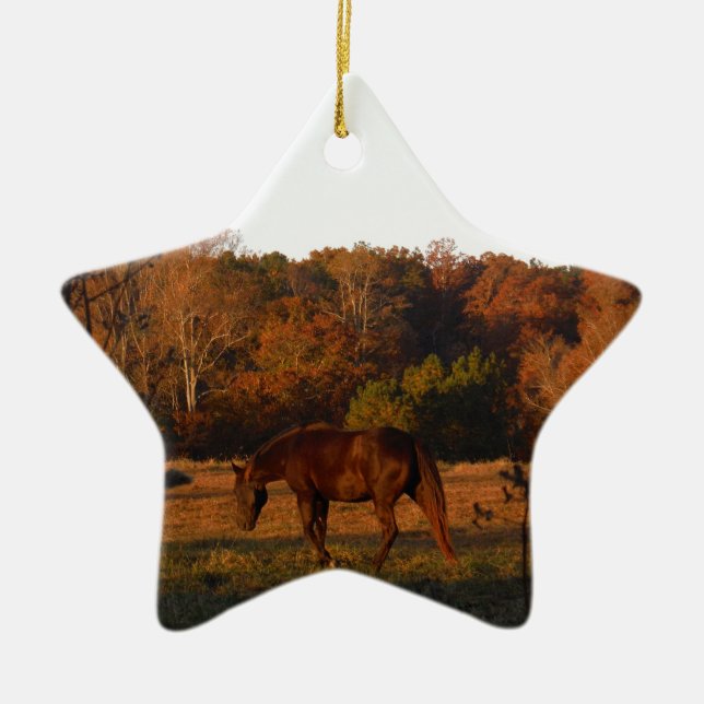Ornement Étoile En Céramique Cheval Brown rouge, bois d'automne. (Devant)