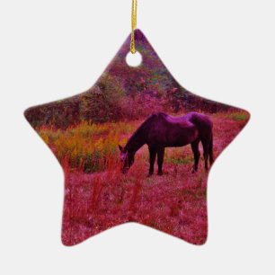 Ornement Étoile En Céramique Cheval dans un champ de couleur Kaleidoscope