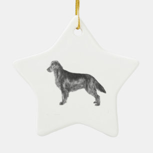 Ornement Étoile En Céramique Chien d'arrêt enduit plat