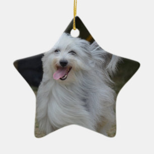Ornement Étoile En Céramique Chien de berger doux
