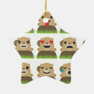 Ornement Étoile En Céramique emojis