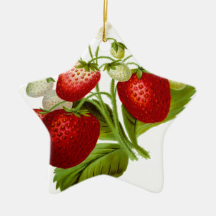 Ornement Étoile En Céramique Feuilles de feuilles de fruits alimentaires