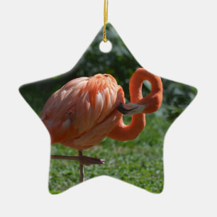 Ornement Étoile En Céramique Flamant rose rose parfait
