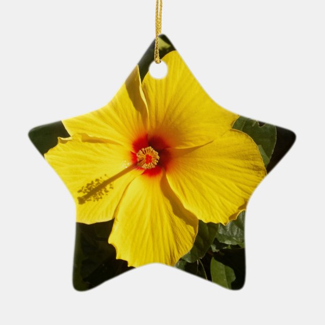 Ornement Étoile En Céramique Fleur d'Hibiscus jaune (Devant)