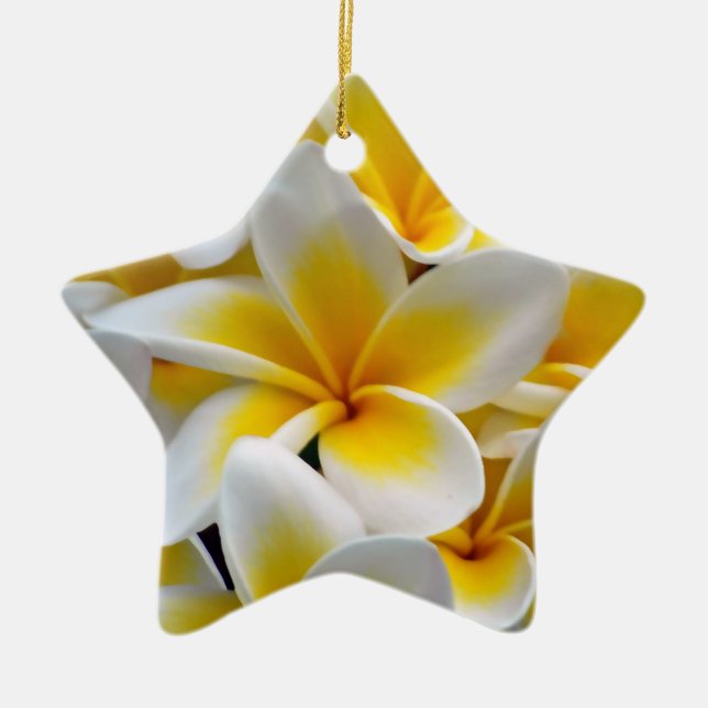 Ornement Étoile En Céramique Fleur Frangipani Plumeria (Devant)