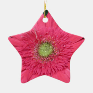 Ornement Étoile En Céramique Gerbera Daisy