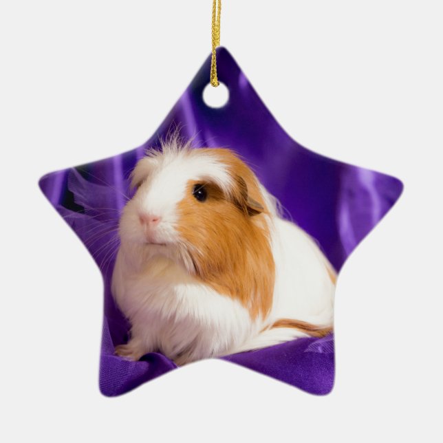 Ornement Étoile En Céramique guinea pig (Devant)