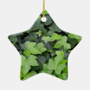 Ornement Étoile En Céramique Impression botanique verte Ivy
