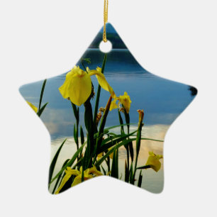 Ornement Étoile En Céramique Iris jaune à Lake Shore