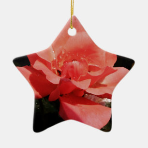 Ornement Étoile En Céramique Joli rose rose Peach floral