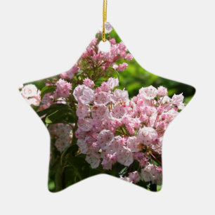 Ornement Étoile En Céramique Jolies fleurs de laurier rose