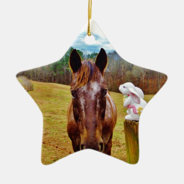 Ornement Étoile En Céramique Lapin de Pâques et cheval Brown (Devant)