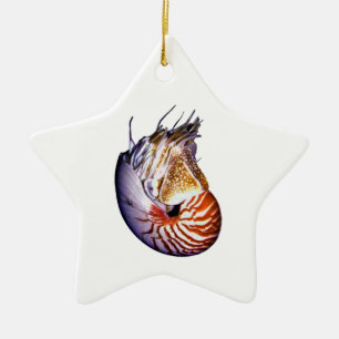 ORNEMENT ÉTOILE EN CÉRAMIQUE LE NAUTILUS EXTRAORDINAIRE