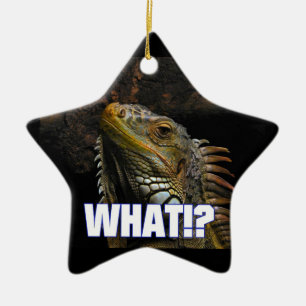 Ornement Étoile En Céramique Le Quoi ! ? Iguana