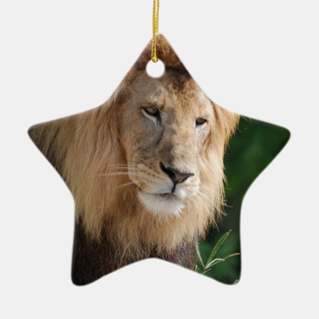 Ornement Étoile En Céramique Lion de vagabondage (Devant)